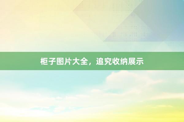 柜子图片大全，追究收纳展示