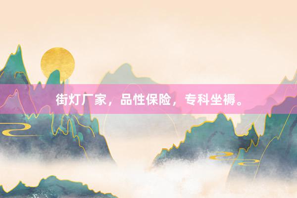 街灯厂家，品性保险，专科坐褥。